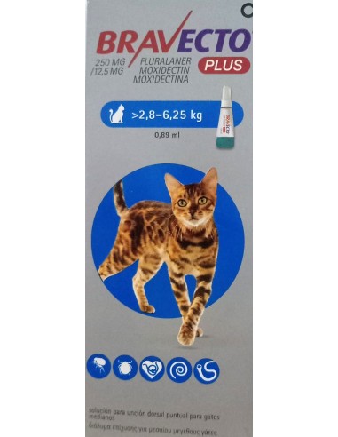 BRAVECTO PLUS CAT 250 MG 2.8-6.25 KG 1 PIP. 