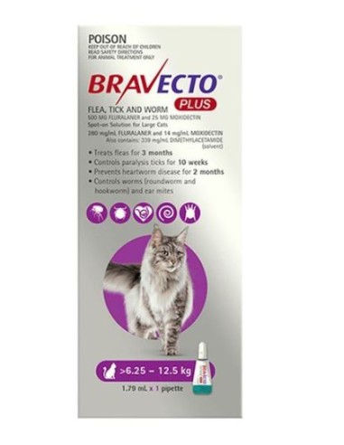 BRAVECTO PLUS CAT 500 MG 6.25 - 12.5 KG 1 PIP. 