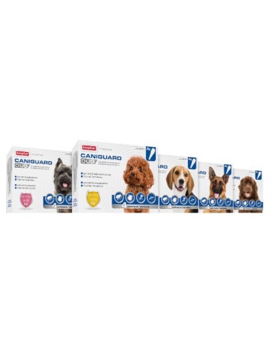 CANIGUARD DUO PERROS M 4 PIP X 134 MG 10-20 KG (Ultimas unidades)