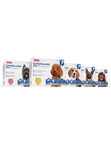 CANIGUARD DUO PERROS XS 4 PIP X 26.8 MG 1.5-4 K