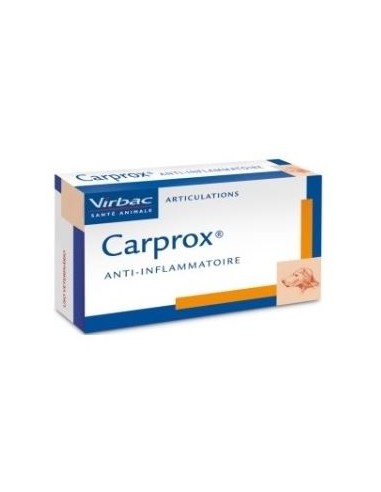 CARPROX 20 MG 100 COMP. 