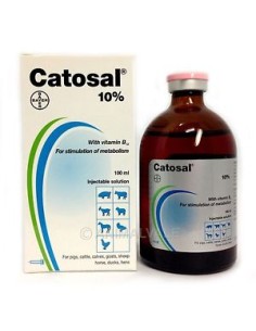 CATOSAL 10% 100 ML. 