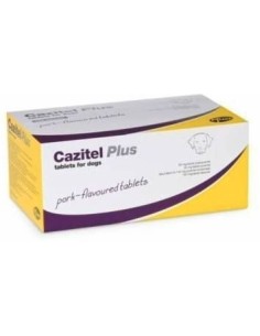 CAZITEL 104 COMP