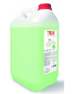 CHAMPU PSH BASICO ALL ROUND KIWI 5L 
