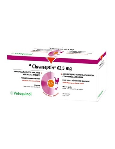 CLAVASEPTIN 62.5 MG 100 C 