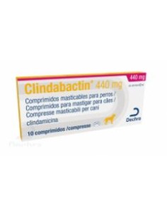 CLINDABACTIN 440 MG 10 COMP. 