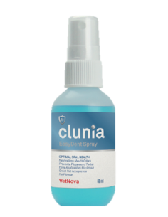 CLUNIA EASY DENT SPRAY 60 ML 