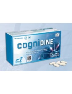 COGNIDINE 60 comp. 