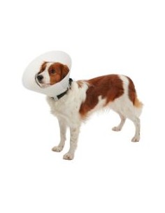COLLAR ISABELINO BUSTER CLASSIC OPACO 25 CAJA COMPLETA 10...