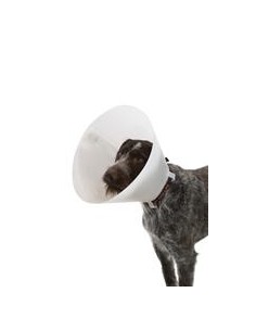 COLLAR ISABELINO BUSTER CLASSIC OPACO 35 1 UND