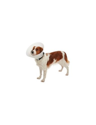 COLLAR ISABELINO BUSTER CLASSIC OPACO 7,5 CAJA COMPLETA 10 UDS