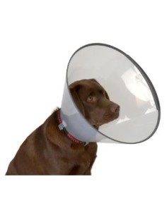 COLLAR ISABELINO BUSTER COMFORT T-15 CAJA COMPLETA 5 UDS