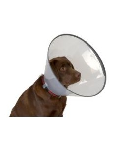 COLLAR ISABELINO BUSTER COMFORT T-20 CAJA COMPLETA 5 UDS
