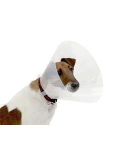 COLLAR ISABELINO BUSTER TIPO CLICK 12.5 1 UND