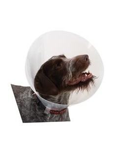 COLLAR ISABELINO BUSTER TRANSP 40 1 UND
