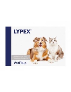 LYPEX PERROS Y GATOS 60 Caps 