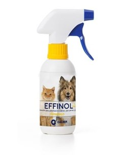 EFFINOL 2,5 MG/ML 250 ML 