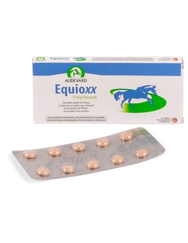 EQUIOXX 57 MG 10 COMP MASTICABLE EQUINO 