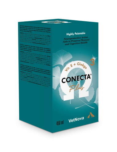 CONECTA PLUS 450 ML 