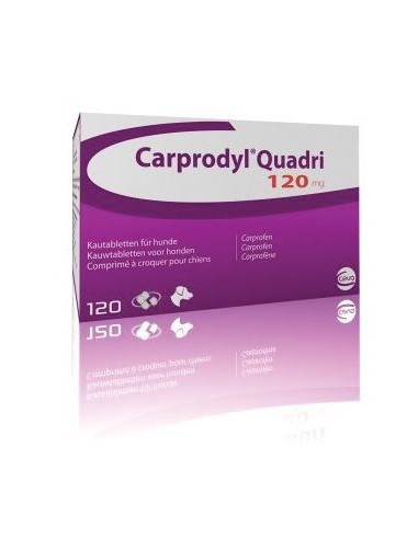 CARPRODYL QUADRI 120 MG 120 C 