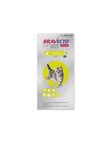 BRAVECTO PLUS CAT 112.5 MG 1.2-2.8 KG 1 PIP. 