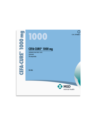 CEFA-CURE 1000 MG 10x5 compr. 