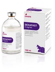 DEXAFAST 2 MG/ML 100 ML