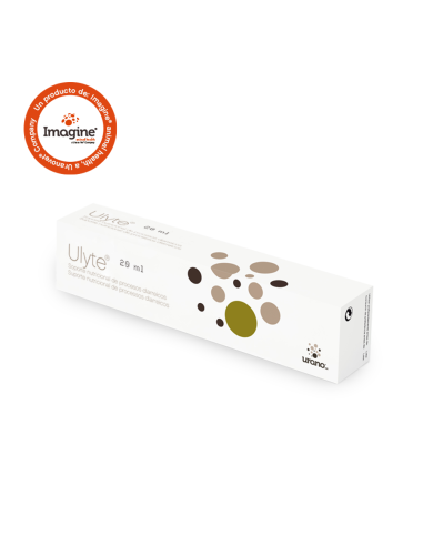 ULYTE 20 ML 1 JERINGA 