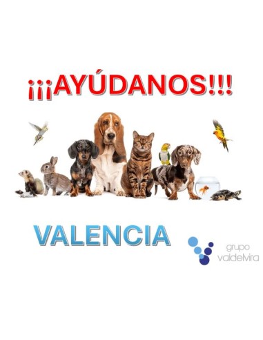 AYUDA DANA VALENCIA DONACION