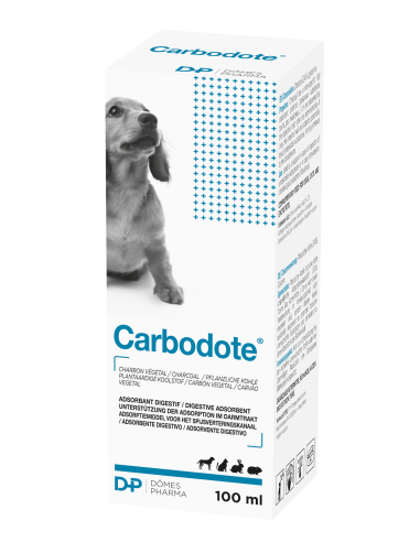 CARBODOTE LIQUIDO 100 ML 