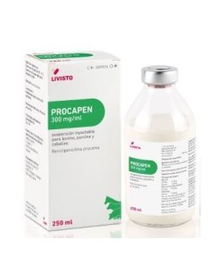PROCAPEN 300 MG/ML INY 250 ML