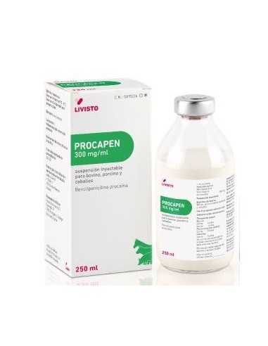 PROCAPEN 300 MG/ML INY 250 ML 