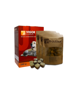 JT- VIGOR PHARMA 60 SNACK 4GR 