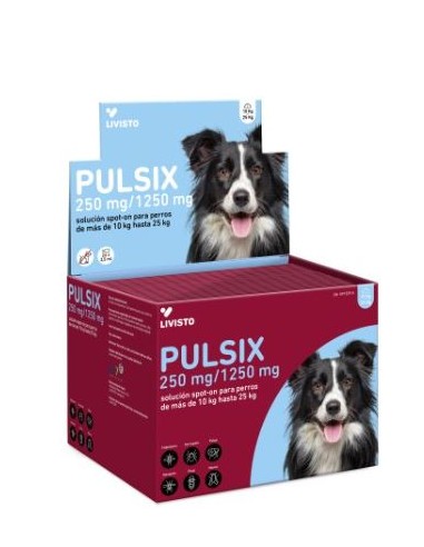 PULSIX 10-25 KG 24 PIP. 2,5 ML 250/1250 MG 