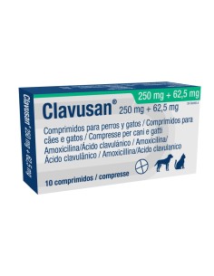 CLAVUSAN 250/62.5 MG 10 COMP 