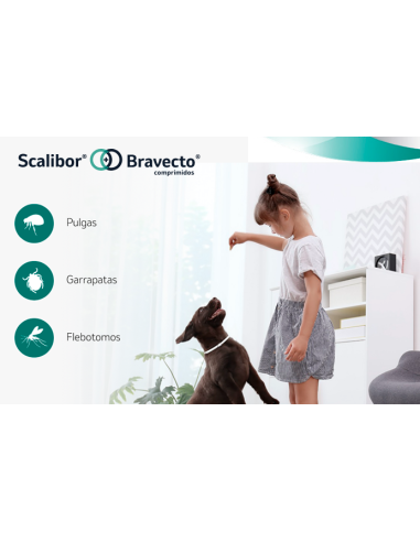 OFERTA BONO BRAVECTO / SCALIBOR CONSULTANOS