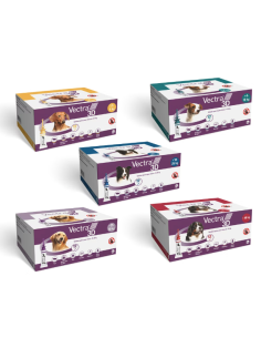 OFERTA VECTRA 12 PIP. 21% DTO. CONSULTANOS - HASTA 31/12/25