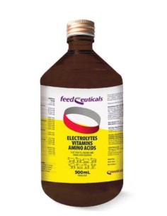 ELECTROLYTES 500 ML 