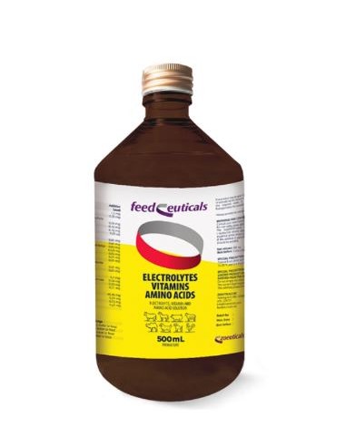 ELECTROLYTES 500 ML 
