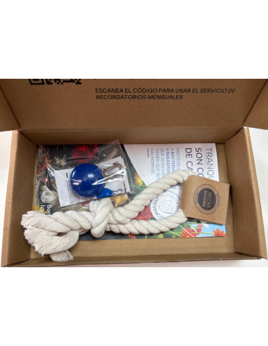 KIT CACHORROS REGALO CON 36 COMP. NEXGARD PERRO
