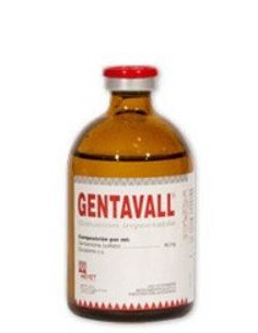 GENTAVALL 5MG/ML INY 250 ML 