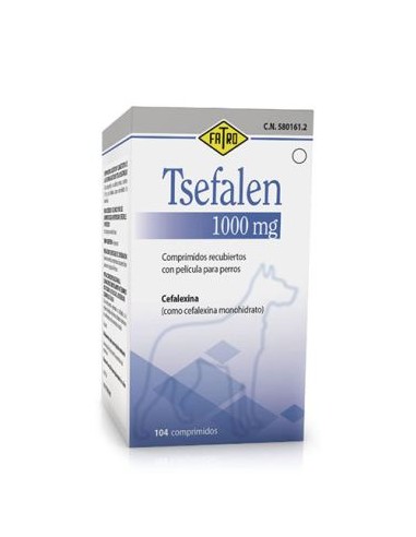 TSEFALEN 1000 MG 104 COMP. 