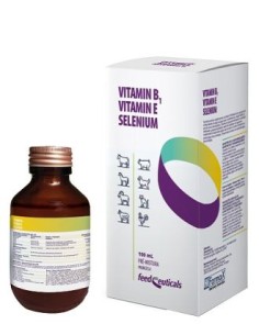 VITAMIN B1-E-SELENIUM 100 ML 