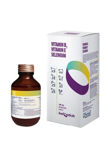 VITAMIN B1-E-SELENIUM 100 ML 