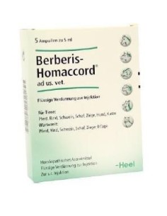 BERBERIS HOMACCORD 5X5 ML 