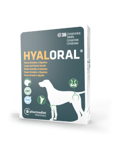 HYALORAL RAZAS GRANDES 36 COMP. 