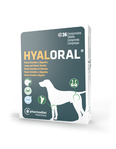 HYALORAL RAZAS GRANDES 36 COMP. 