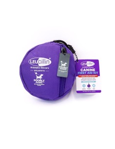 LEUCILLIN FIRST AID KIT 
