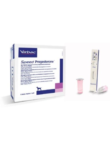 SPEED PROGESTERONE 6 TEST 