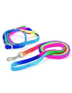 COLLAR ARNES RAINBOW 